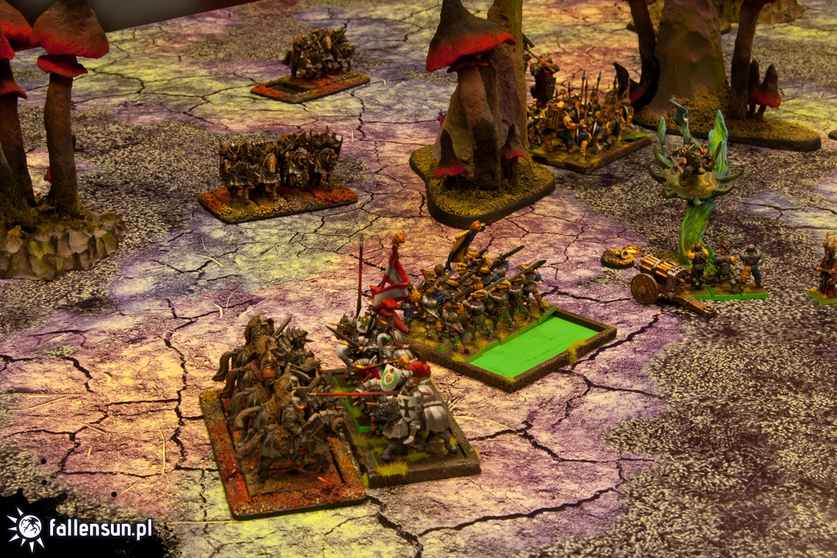 FallenSun Battle Party - Warhammer - 6th edition - wfb - Tournament